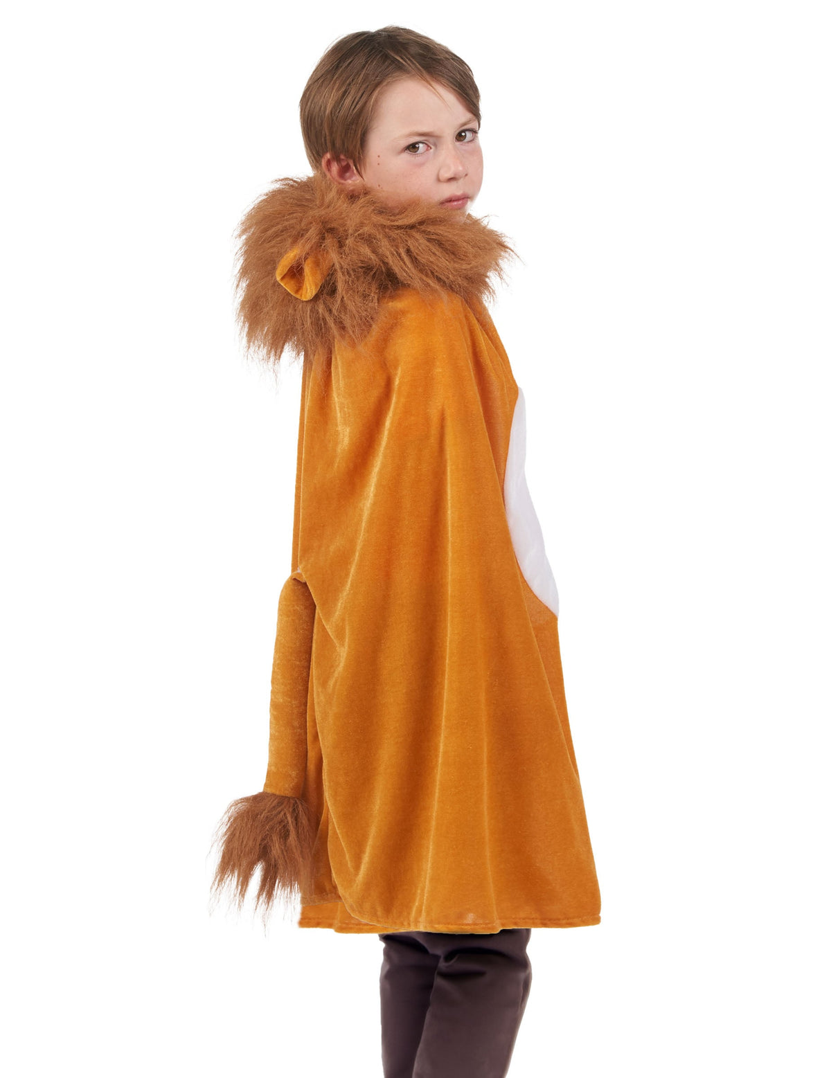 Vue de trois-quarts dos de la cape lion pour enfant