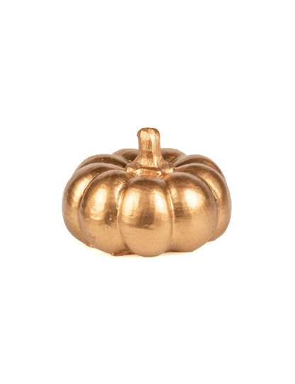 Златна смола тиква 6,5 см