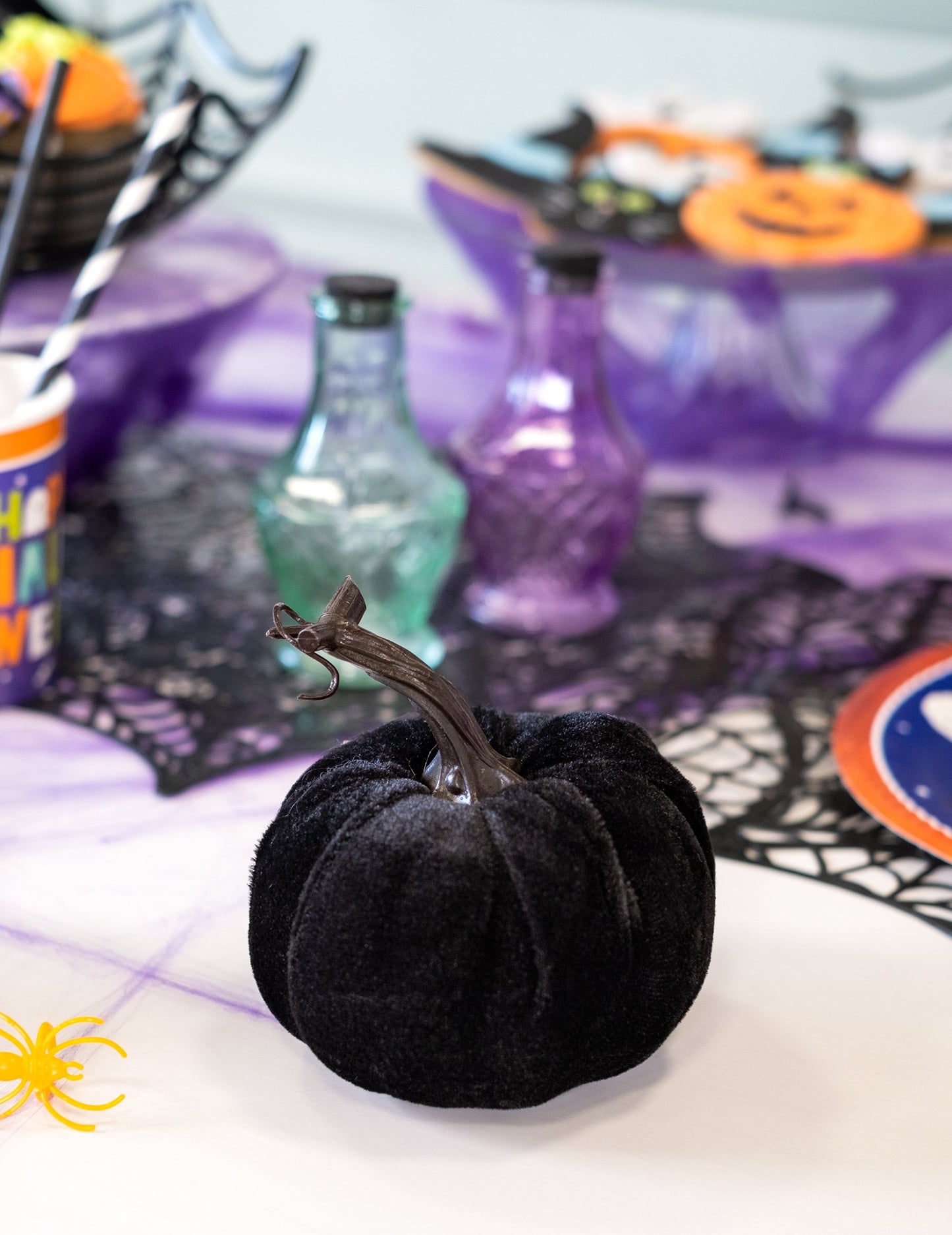 Черна кадифена тиква 10 см