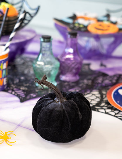 Черна кадифена тиква 10 см