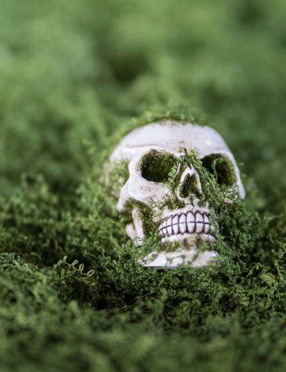 Череп с пяна от смола, 7 см