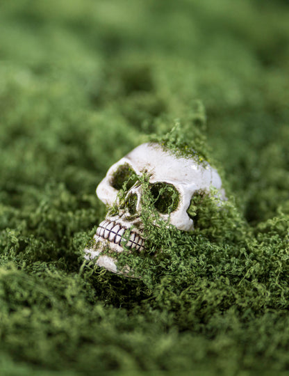 Череп с пяна от смола, 7 см