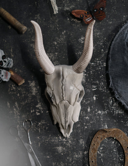 14 х 40 см череп за глава на бивол