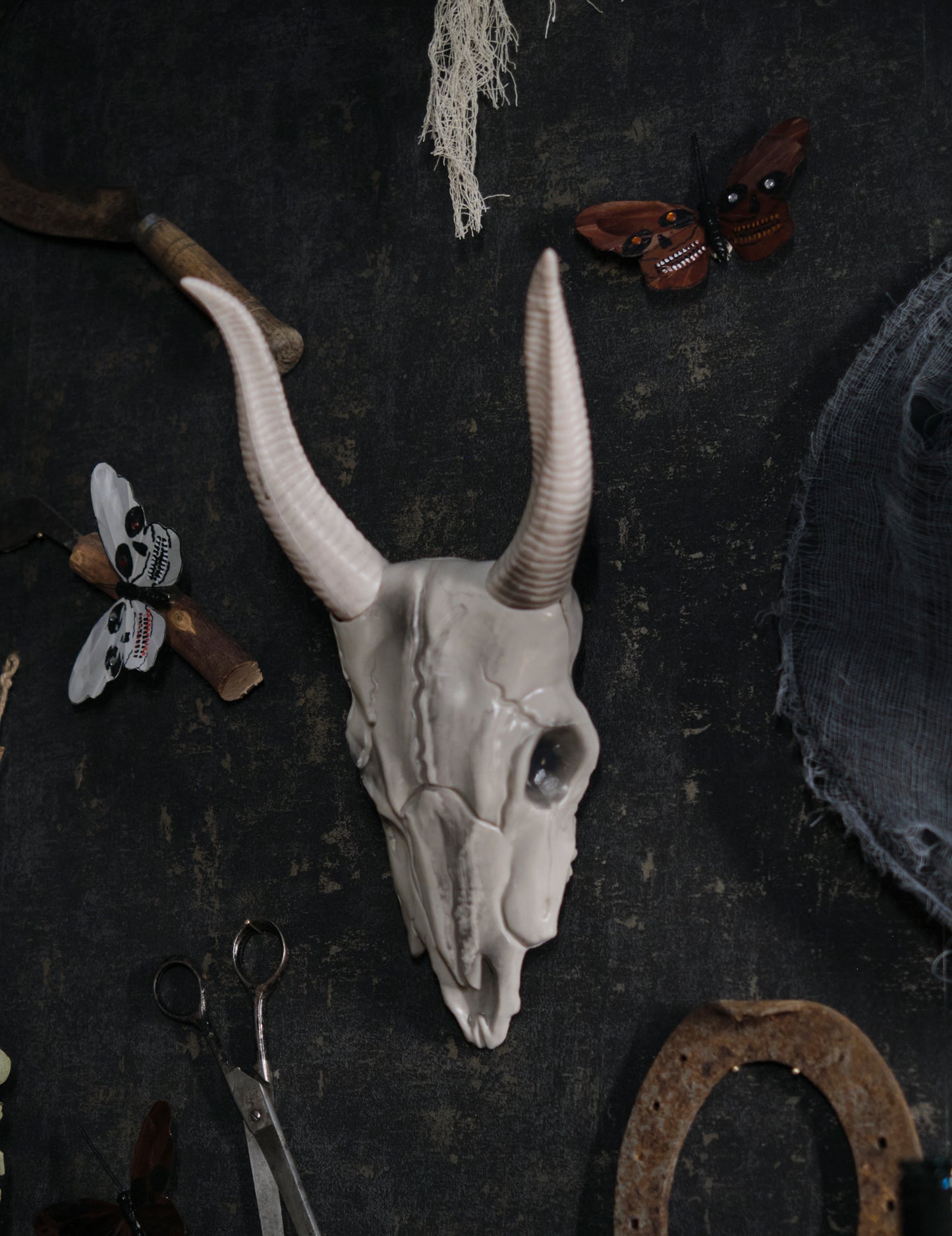 14 х 40 см череп за глава на бивол