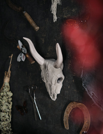 14 х 40 см череп за глава на бивол