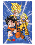 Декорация Dragon Ball Z