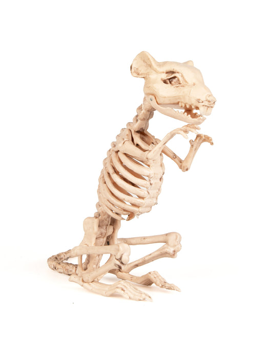 Décoration rat squelette pour Halloween beige aspect os