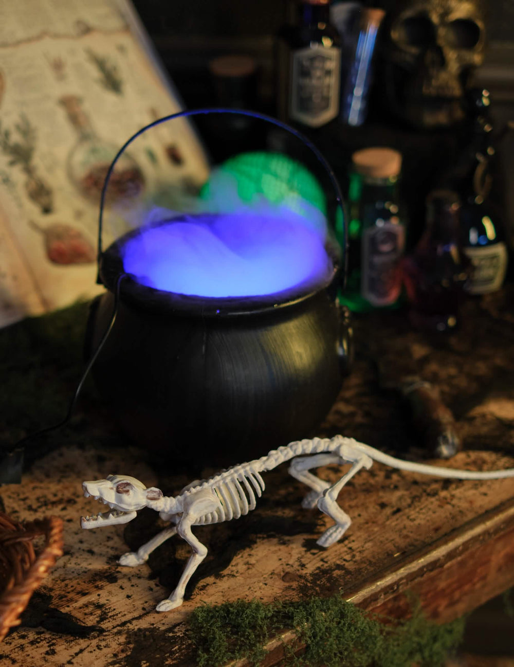 Сценка с казан и украса с костенурка плъх за halloween