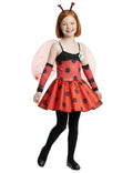 Coccinelle