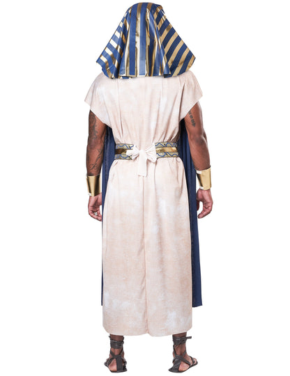 Древноегипетски прикрийте луксозен възрастен