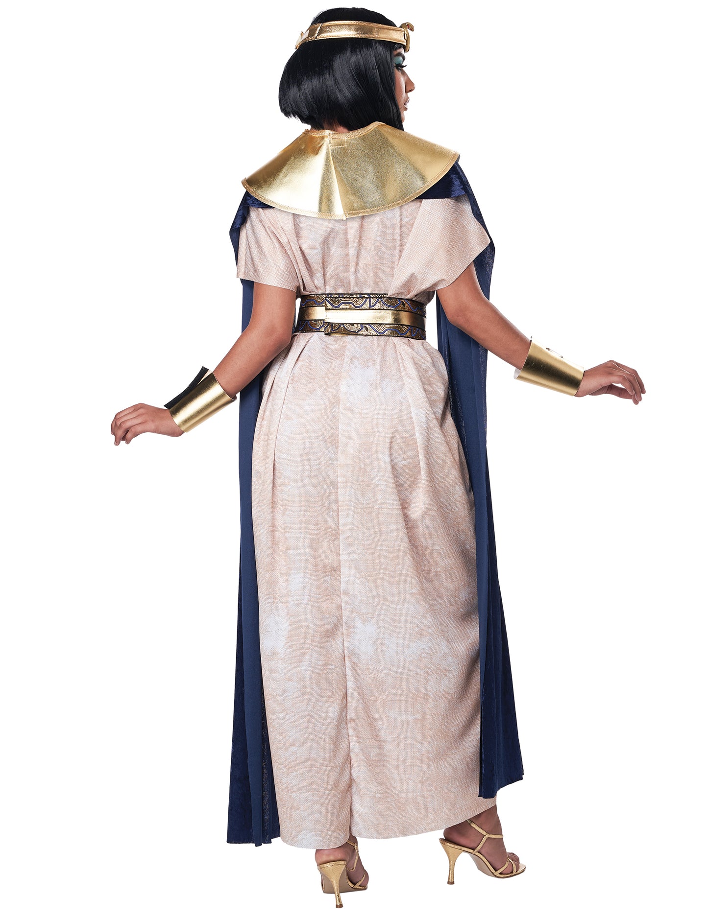 Древноегипетски прикрийте луксозен възрастен