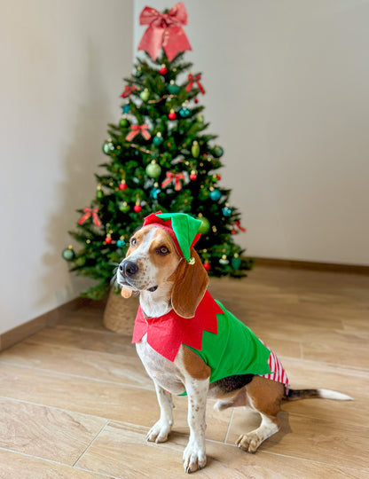 Коледен костюм на елф за кучета