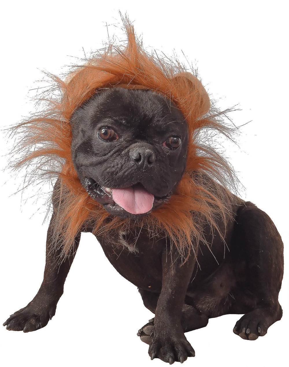 Déguisement lion pour chien marron avec crinière