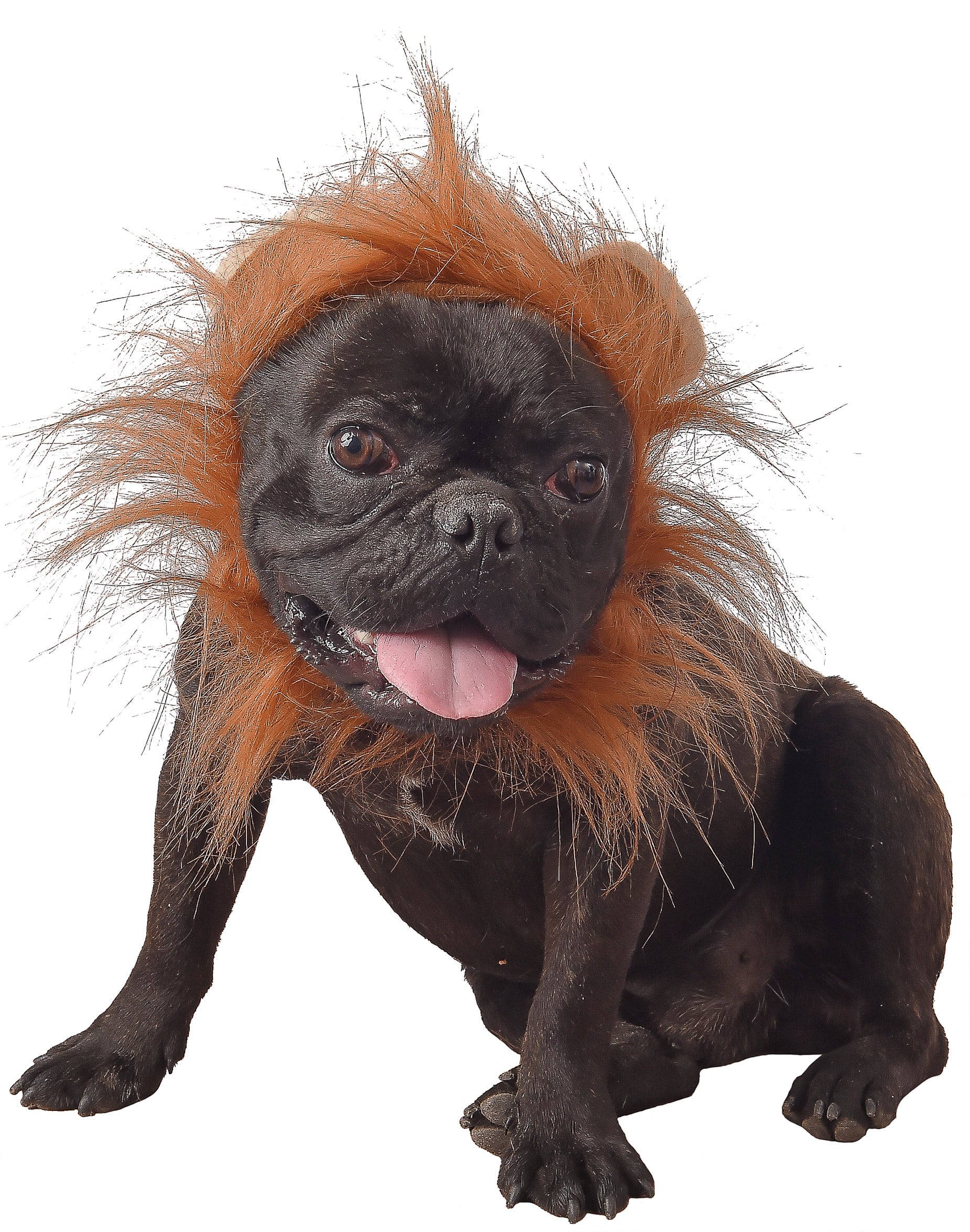 Déguisement lion pour chien marron avec crinière