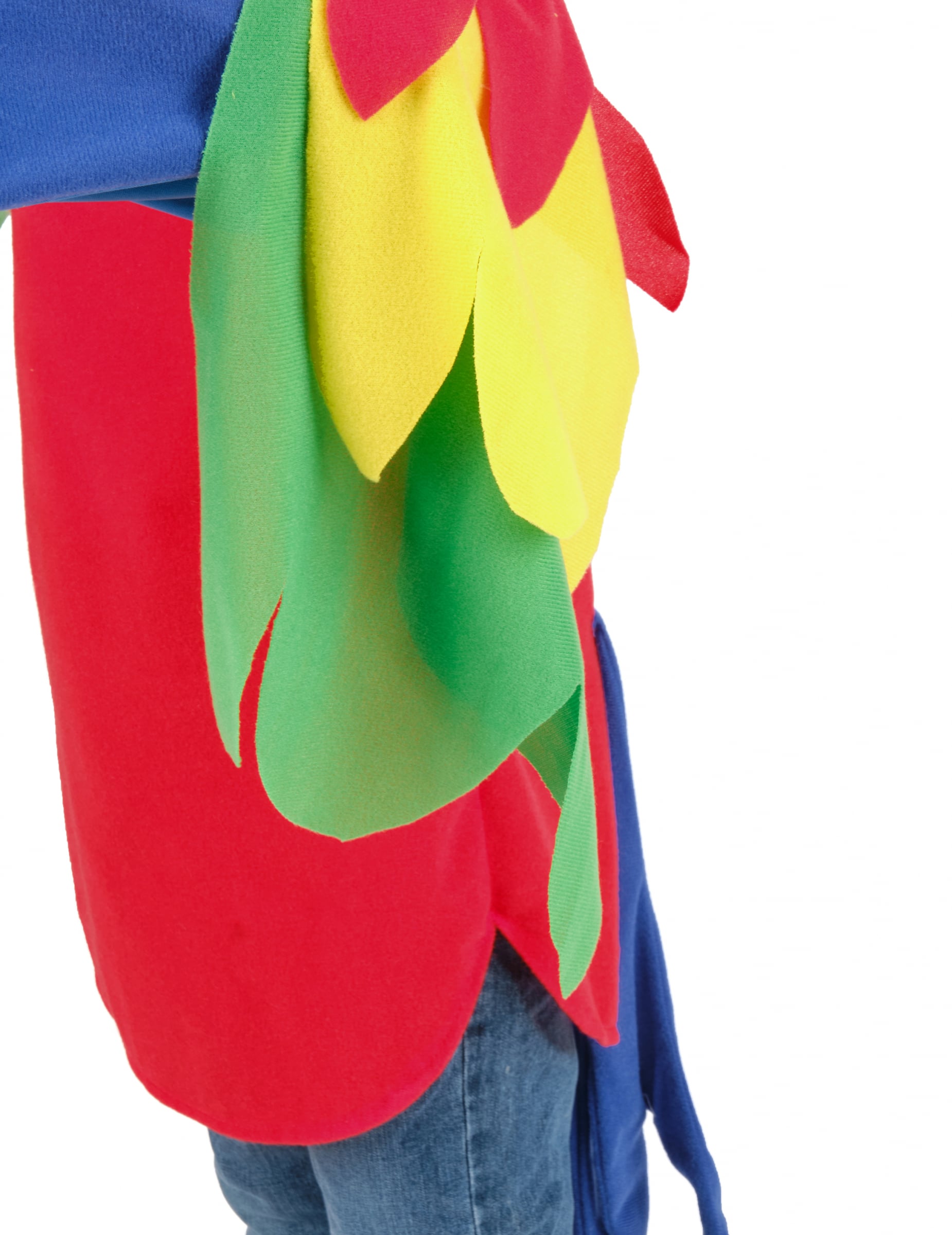 Détail des plumes colorées du déguisement de perroquet