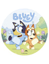 Вафлен диск за торта Bluey™ 20 см