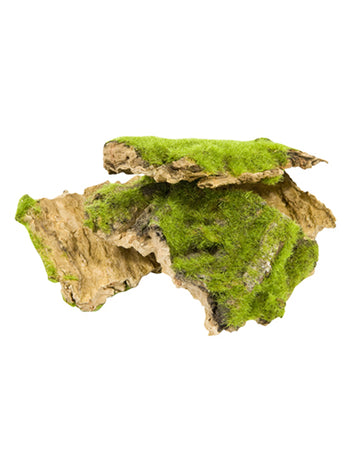 Кора и синтетичен мъх 50 г рустик декорация