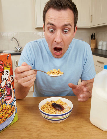 Фалшив хлебарка - шеги и трикове 