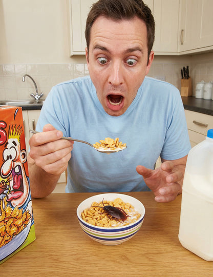 Фалшив хлебарка - шеги и трикове 