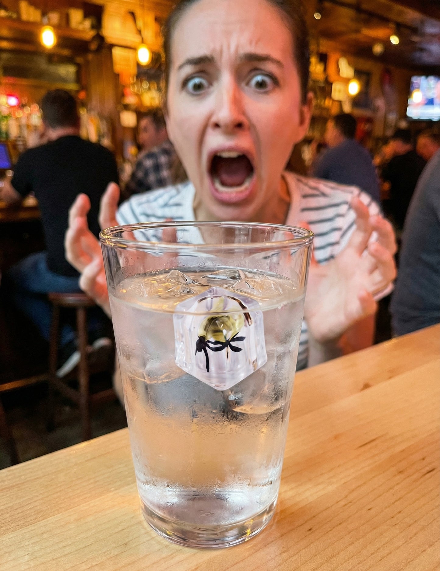 Фалшив леден куб с муха - парти шеги и трикове 