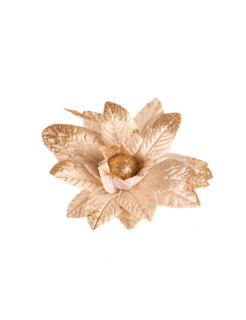 Коледно цвете златен блясък 11 cm