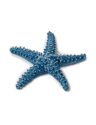 Étoile de mer pour décoration de table bleu marine