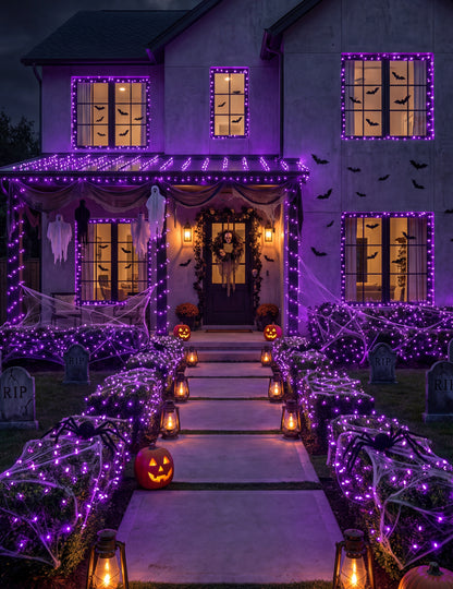 Guirlande lumineuse 100 LED violette 10M