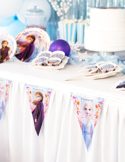 Détail des fanions de la guirlande fanion La Reine des Neiges 2