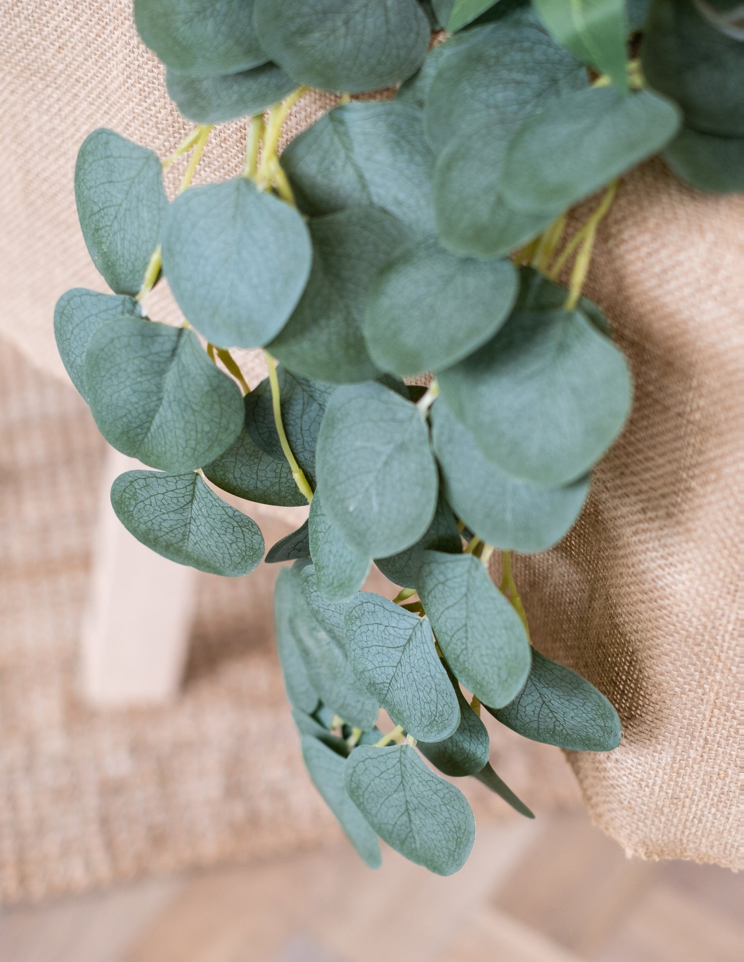 Гирлянда от евкалиптови листа, 2 м, растителна декорация