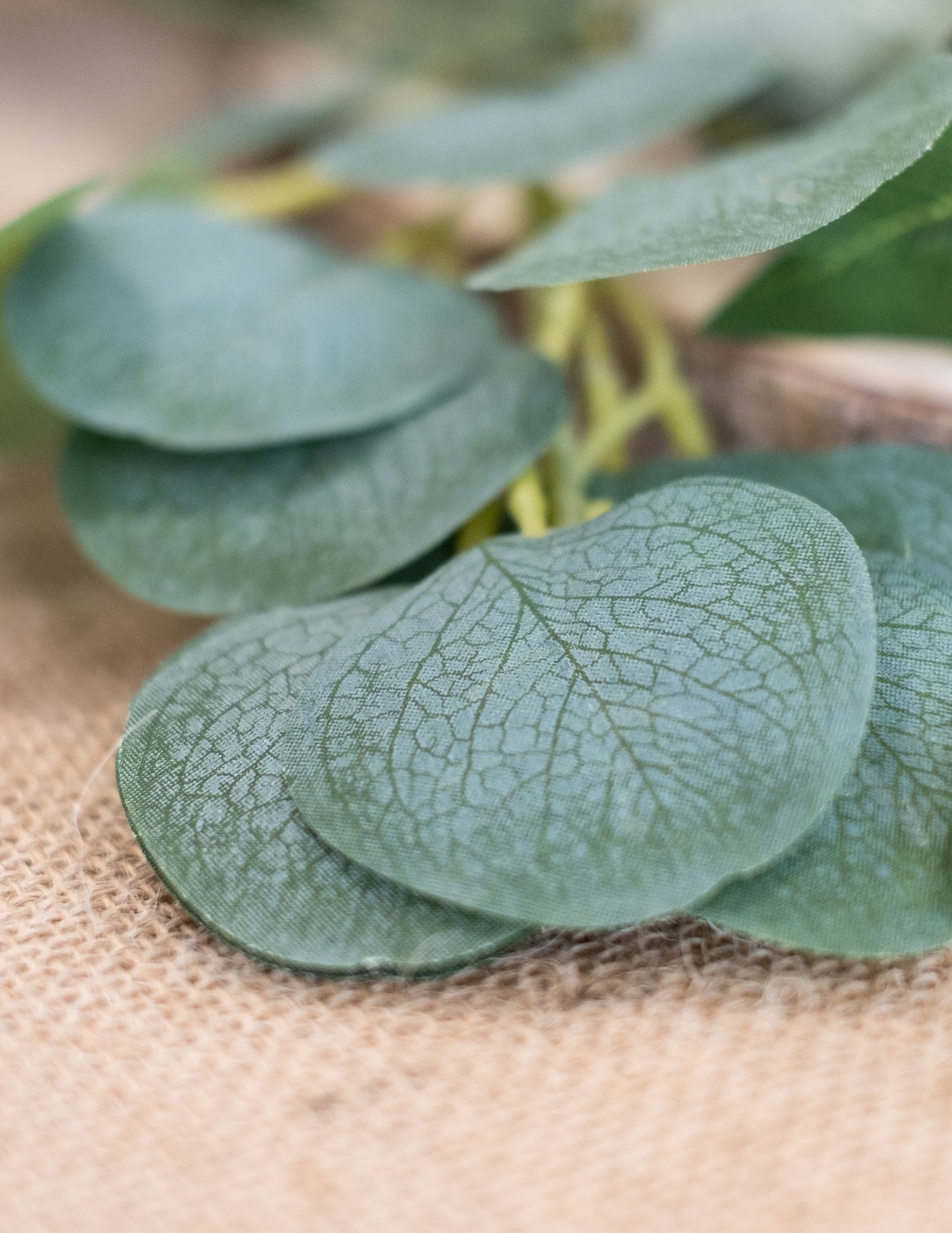 Гирлянда от евкалиптови листа, 2 м, растителна декорация