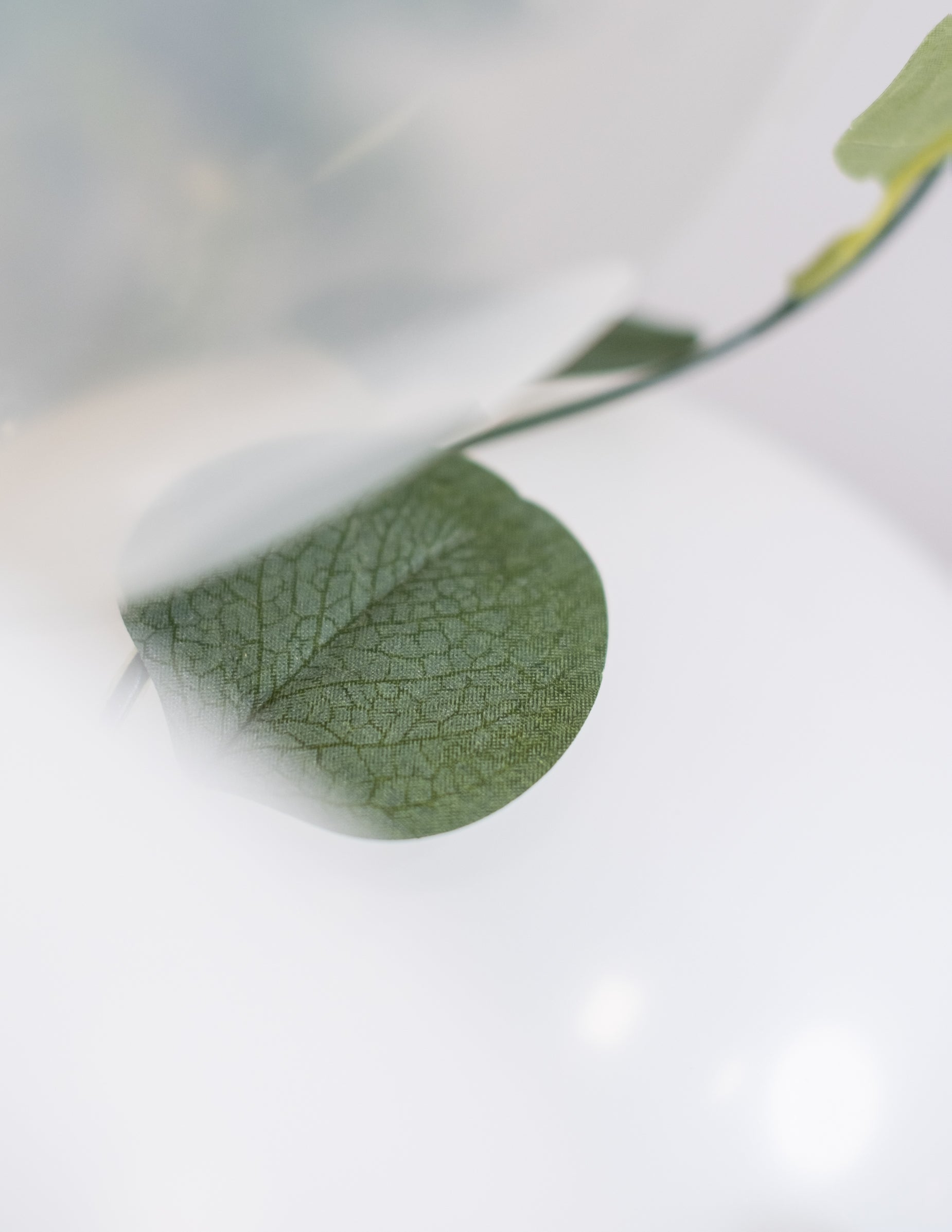 Détail des nervures de la feuille d'eucalyptus du kit arche de 60 ballons blanche et or avec eucalyptus végétale