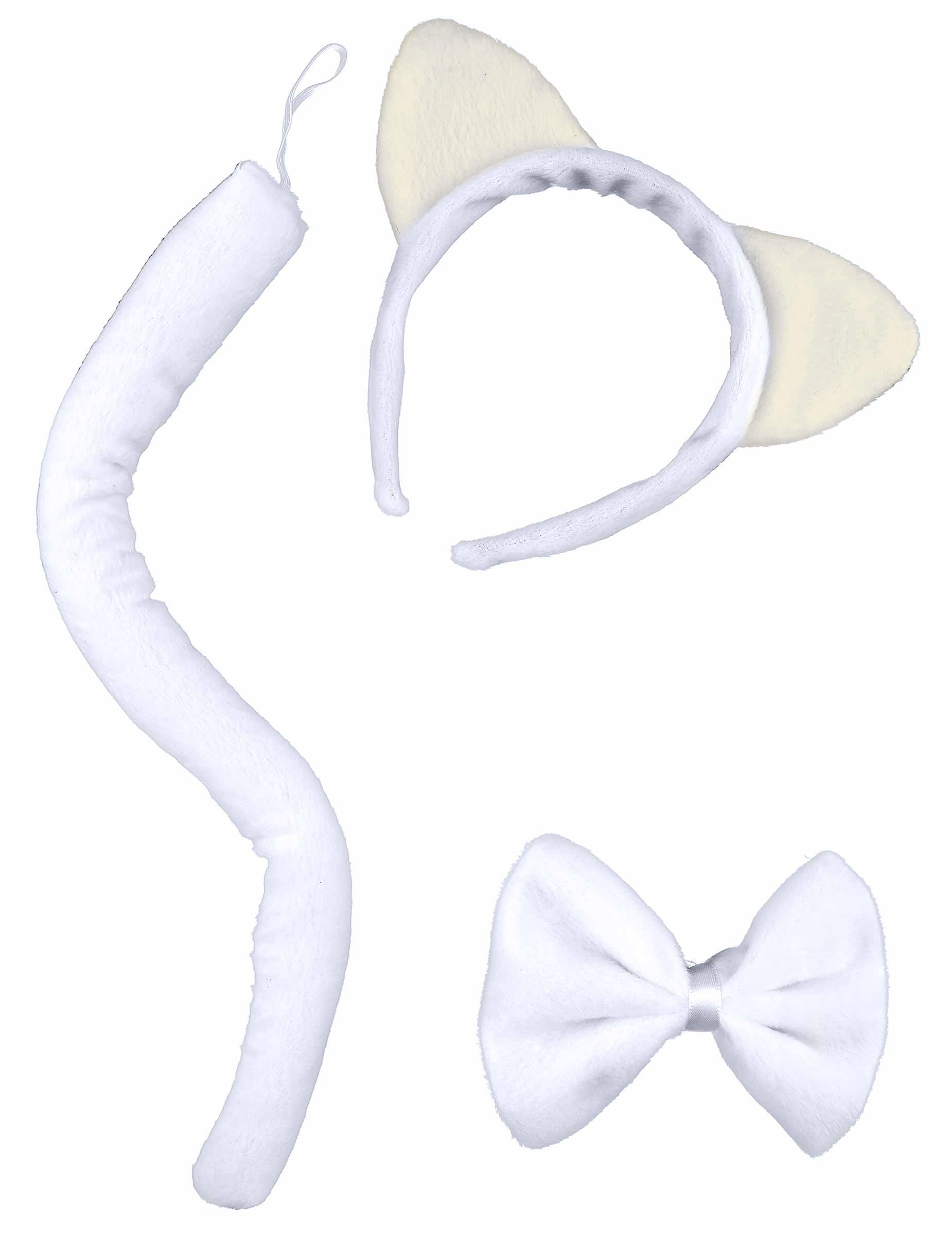 Détail de la queue du nœud papillon et des oreilles du Kit chat