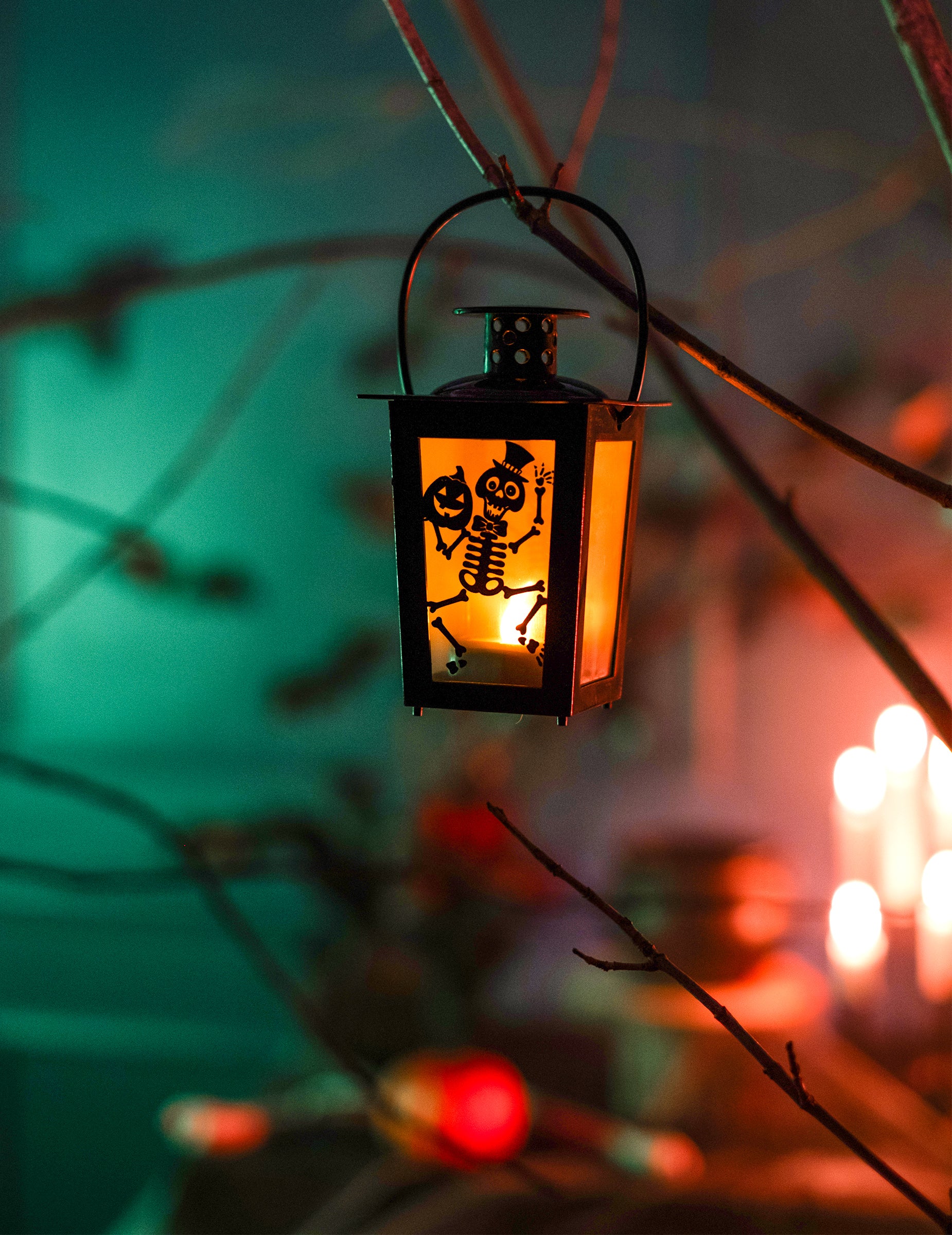 Mise en scène suspendue sur une branche de la lanterne lumineuse Halloween avec squelette et citrouille