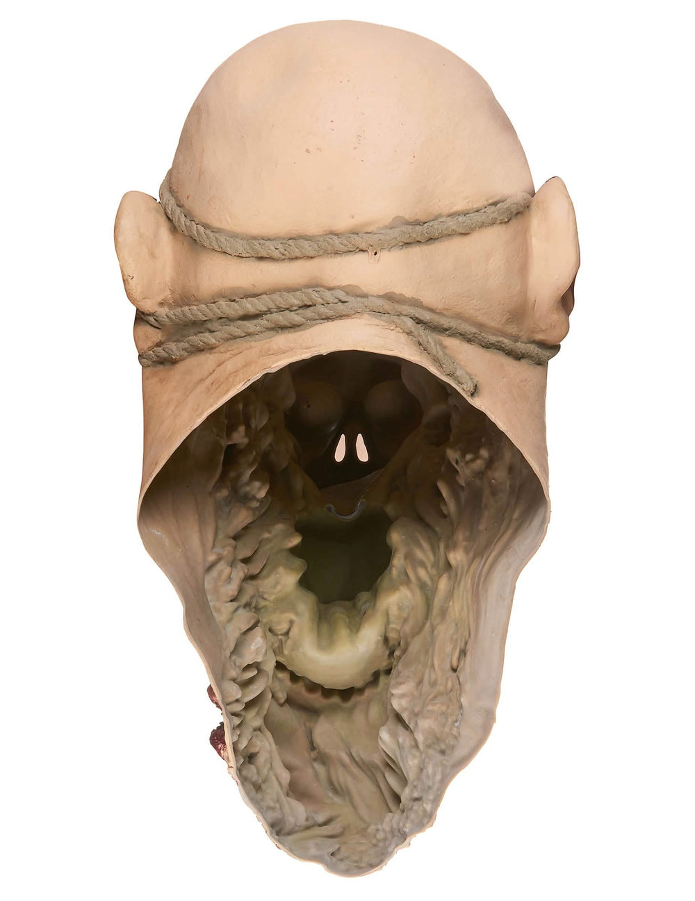 Vue de dos du masque en latex zombie dévoreur pour adulte