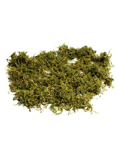 Mousse végétale séchée 50 gr pour décoration naturelle