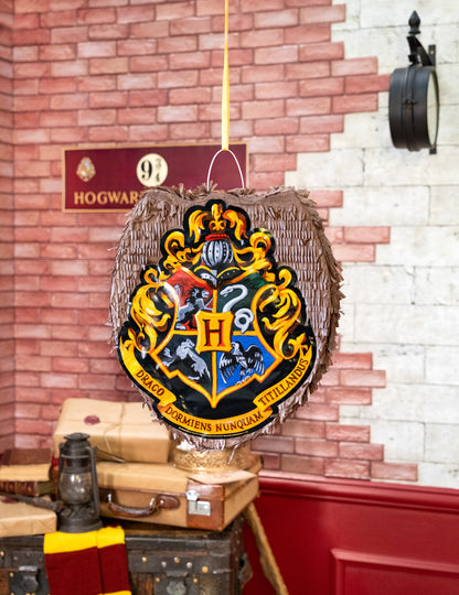 Пинята Harry Potter™ 