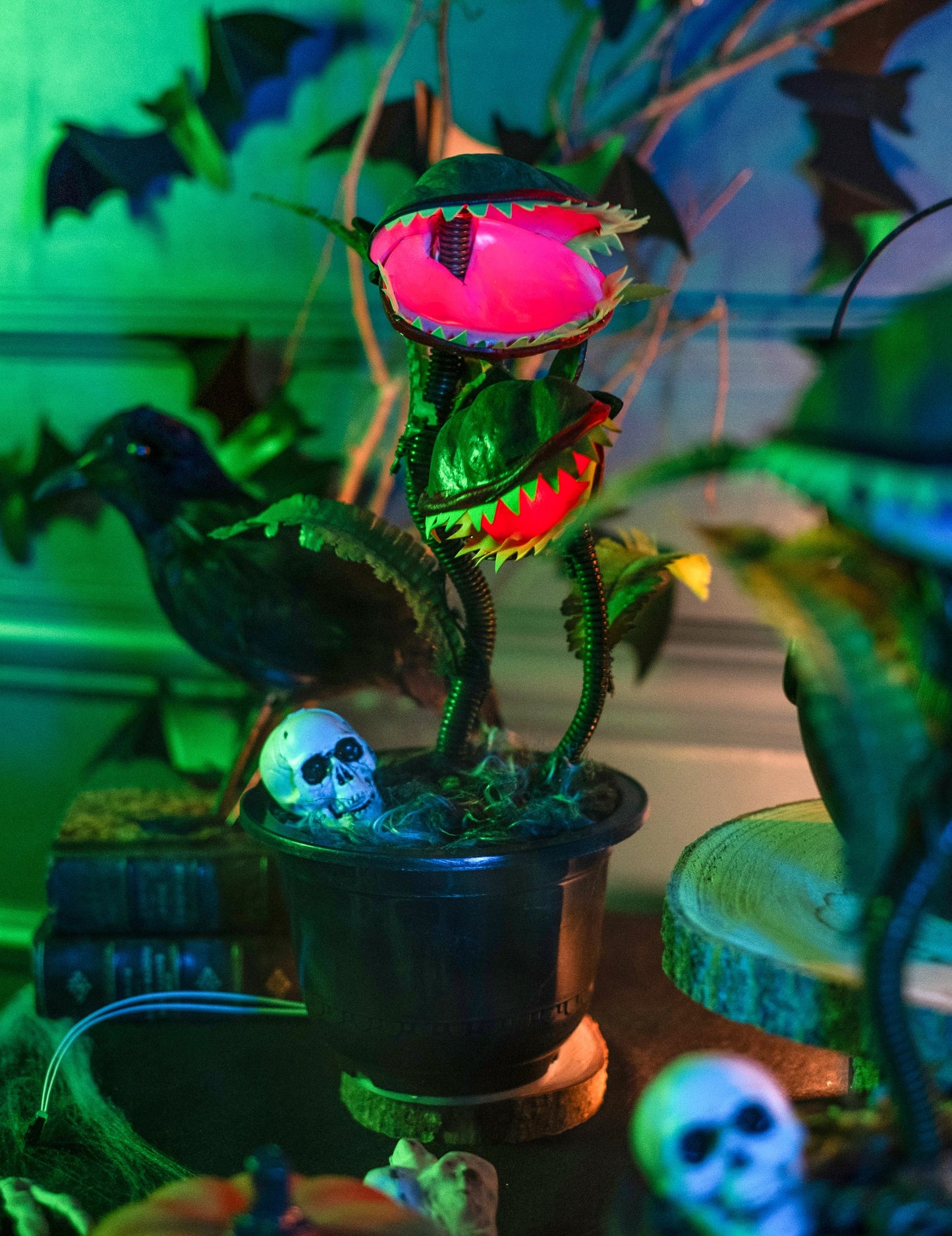 Gros plan sur les têtes lumineuses de la plante carnivore animée pour Halloween