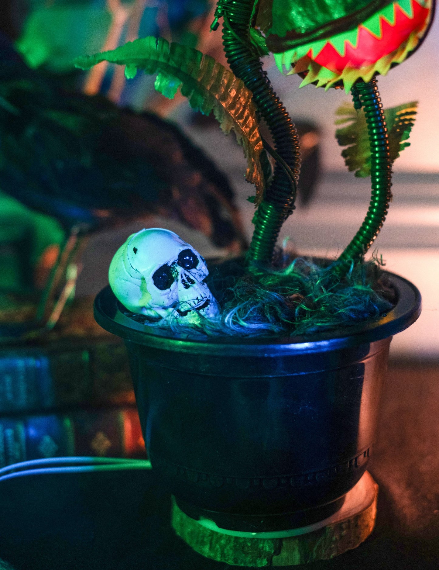 Détail du crâne dans le pot de la plante carnivore animée pour Halloween