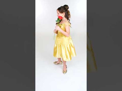 Класически прикрийте красиво момиче