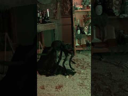 Анимационен паяк 50 см 50 см