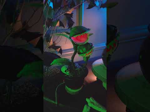 [ERREUR: Impossible de télécharger l'image (429)]