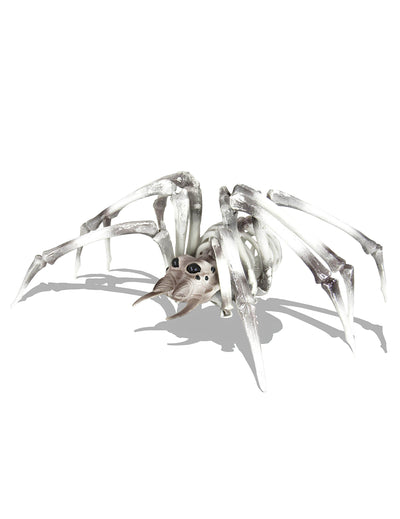 Squelette araignée pour décoration d'Halloween beige et noir
