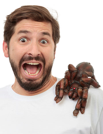 Възрастен рамо тарантула