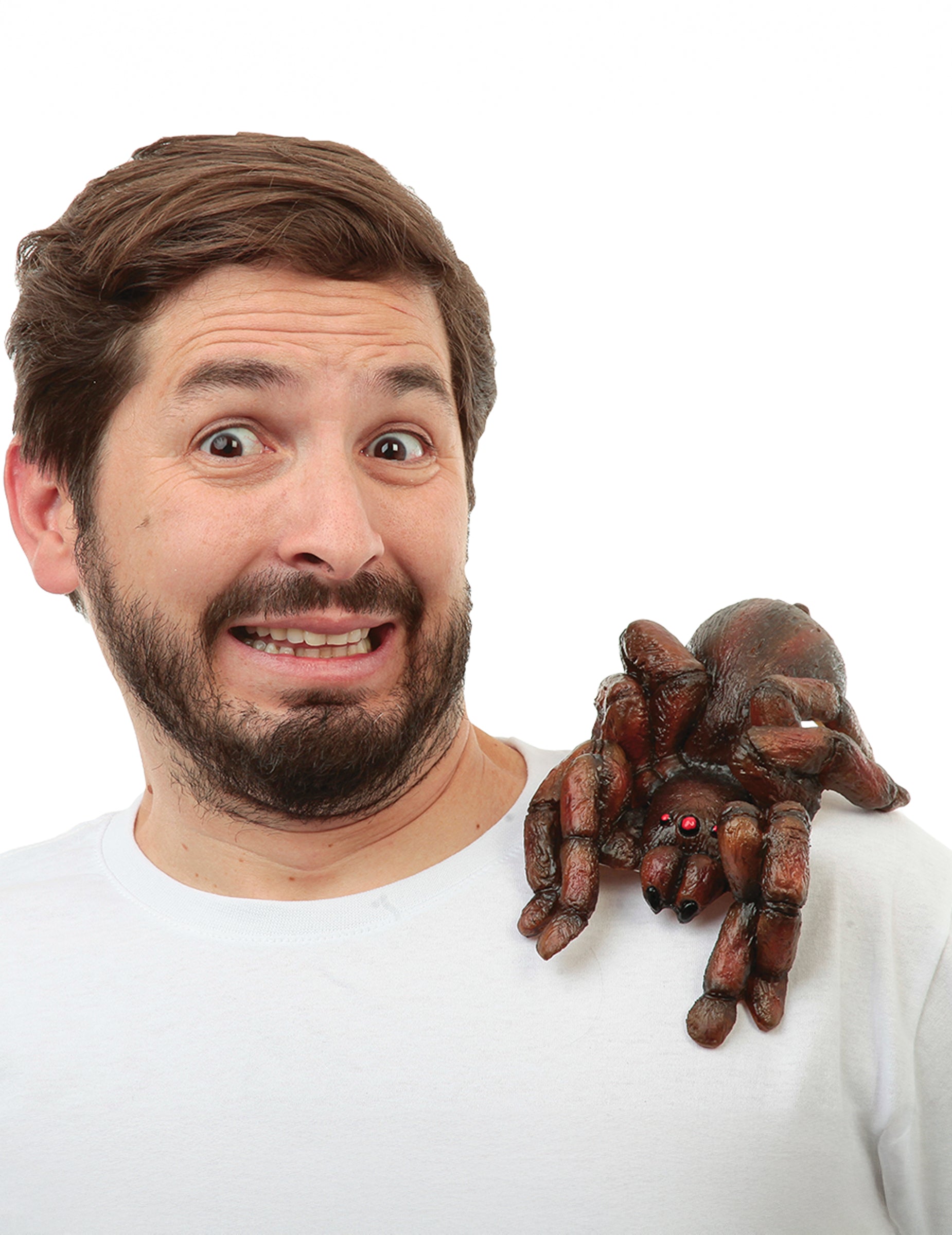Mise en situation sur l'épaule de la tarantule d'épaule pour adulte