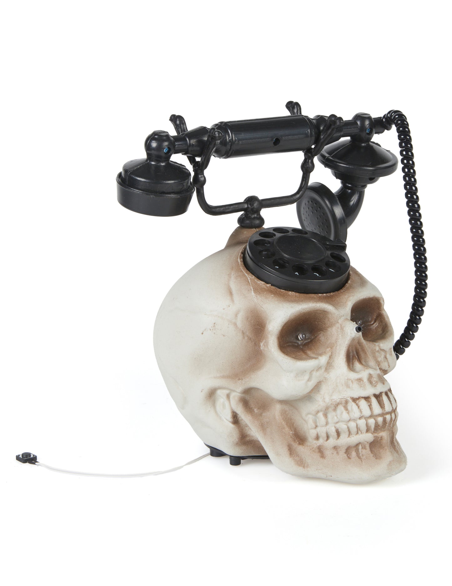 Единична глава на черепа 22 х 25 cm