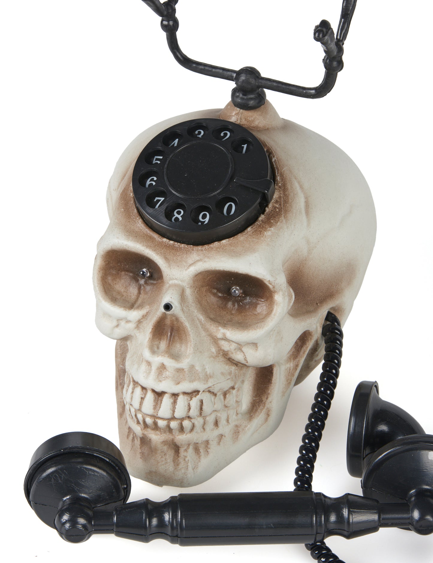 Единична глава на черепа 22 х 25 cm