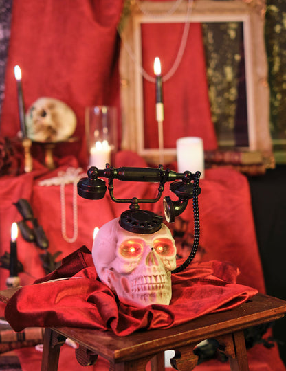 Единична глава на черепа 22 х 25 cm