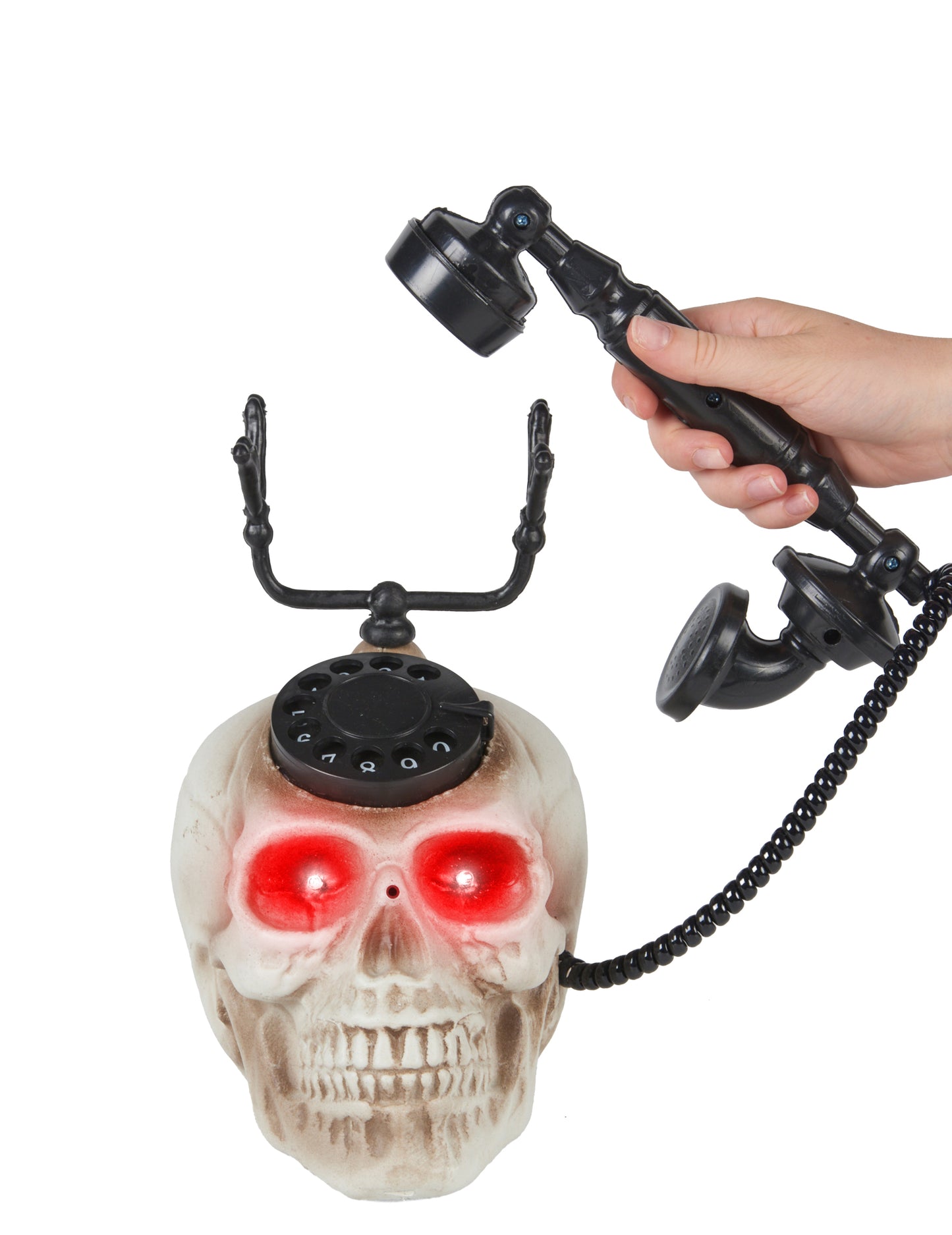 Единична глава на черепа 22 х 25 cm