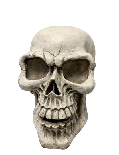XXL Череп 63 cm в магнезий